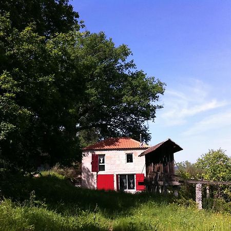 Eira Das Carvalhas Penafiel Exteriör bild