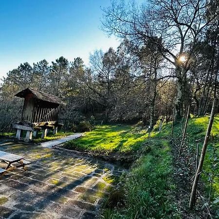 Eira Das Carvalhas Penafiel Exteriör bild