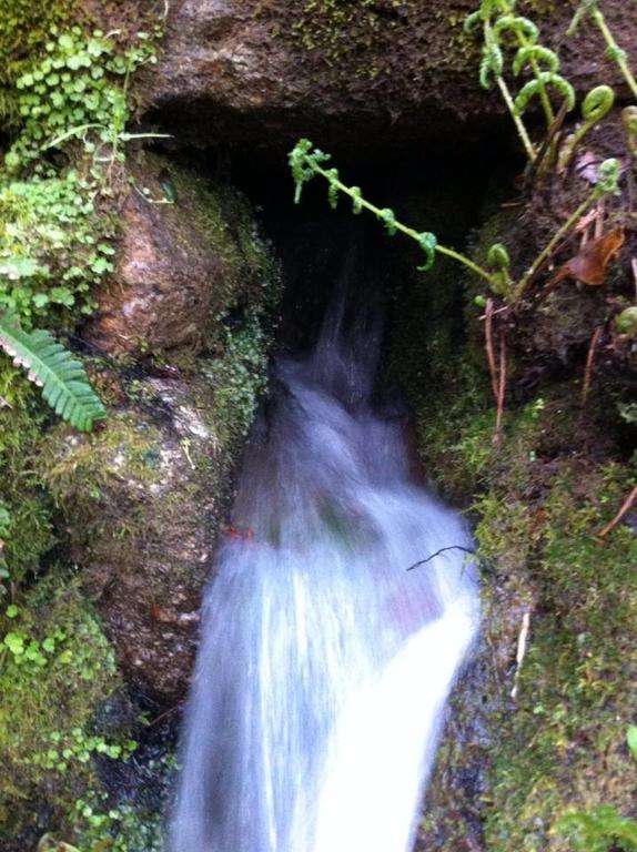 Eira Das Carvalhas Penafiel Rum bild