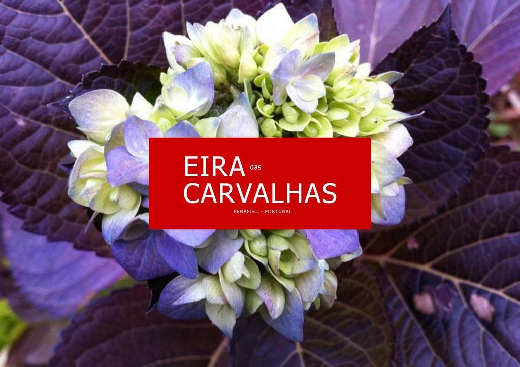 Eira Das Carvalhas Penafiel Rum bild