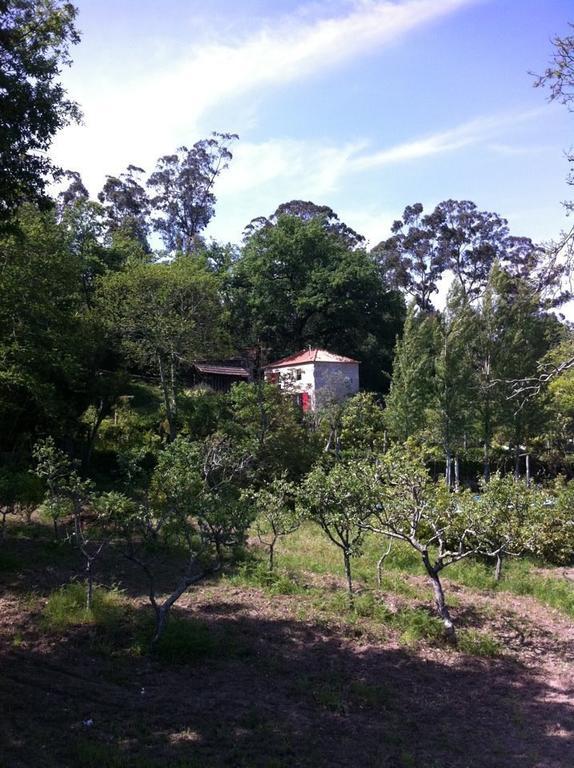 Eira Das Carvalhas Penafiel Rum bild